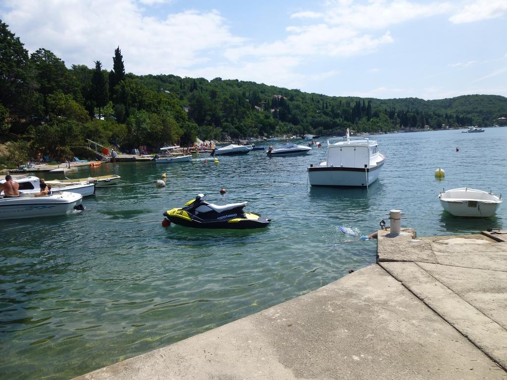 Apartments Villa Rosmarin Omišalj Eksteriør bilde